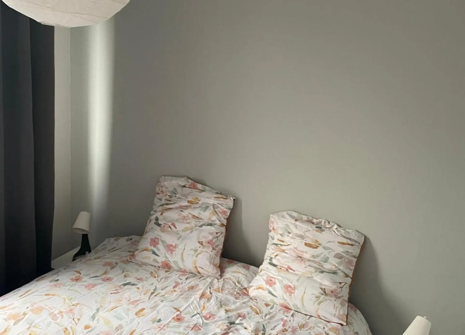 Grand Appartement Sur Lyon 0*,  France