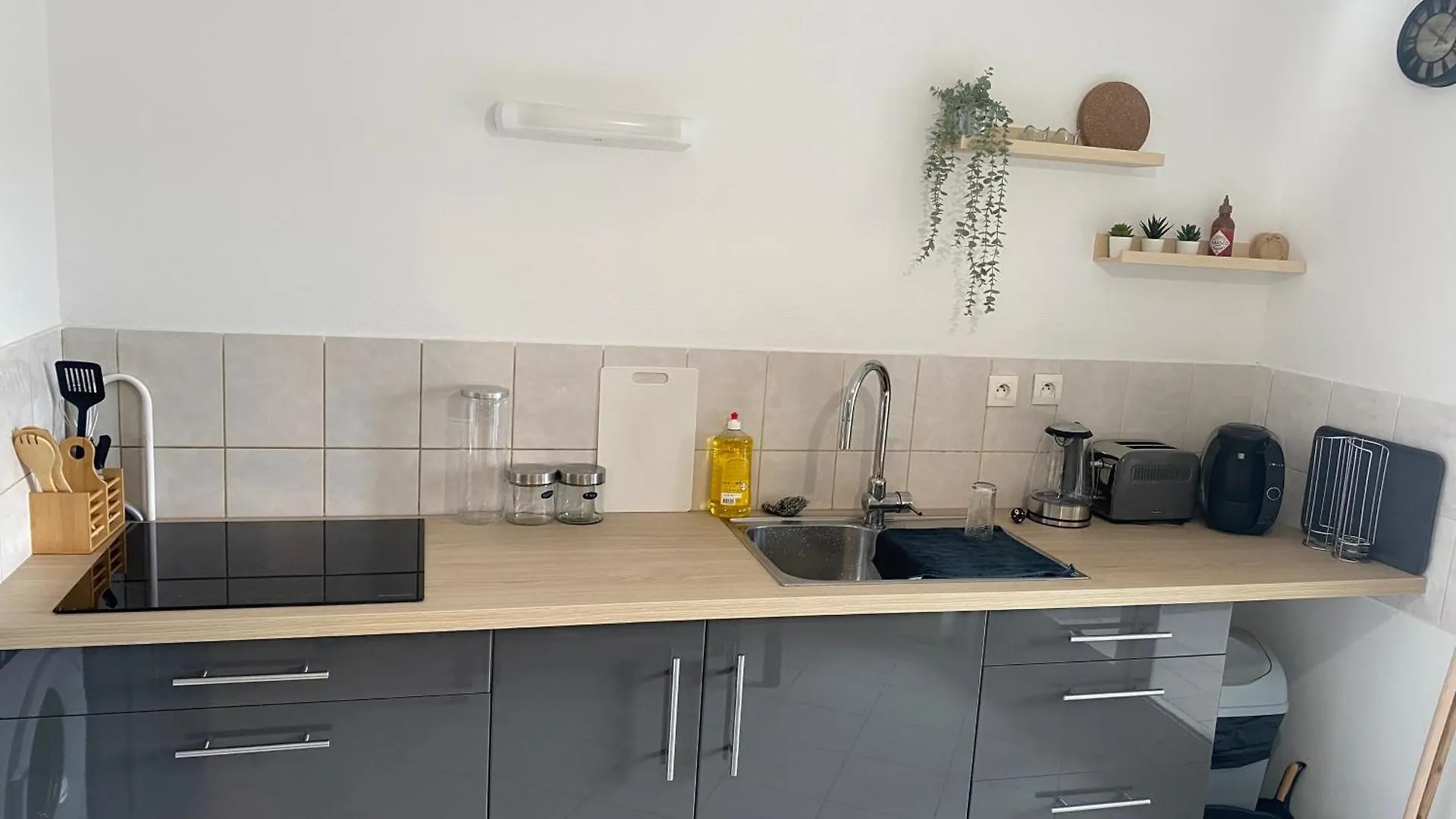 Grand Appartement Sur Lyon 0*,